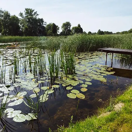 Goscinne U Barbary Lantgård